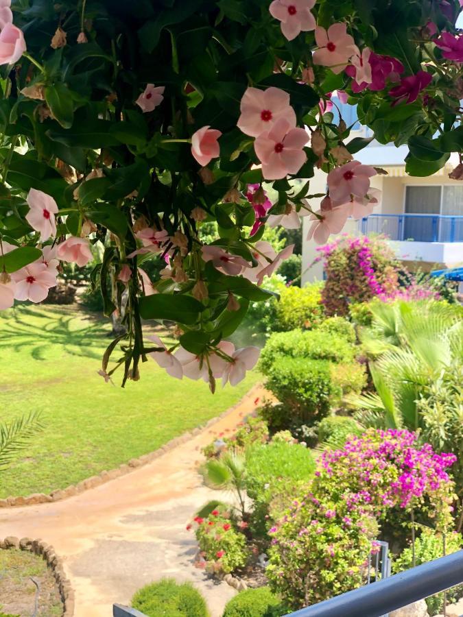 Paradise Gardens With A Large Terrace Paphos Exteriér fotografie
