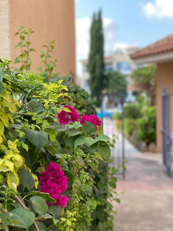 Paradise Gardens With A Large Terrace Paphos Exteriér fotografie