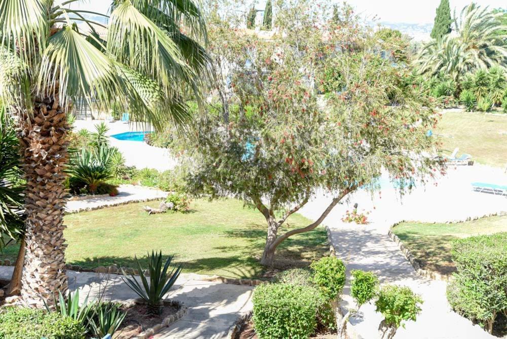 Paradise Gardens With A Large Terrace Paphos Exteriér fotografie
